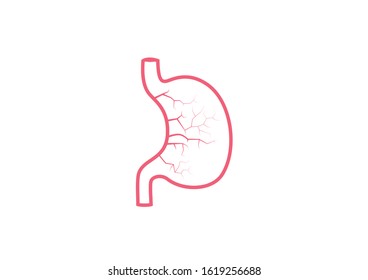 Internal organs of the human on white background, Stomach anatomy, Stomach icon, Organs symbol, Cartoon vector illustration