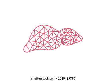 Internal organs of the human on white background, Human liver anatomy, Low-poly geometry and lines of human liver, Liver icon, Organs symbol, Health care, Cartoon vector illustration