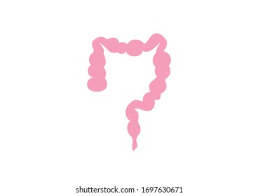 Órganos internos del ser humano sobre fondo blanco, Anatomía intestinal, Icono intestinal, Símbolo Orgánico, Ilustración vectorial de dibujos animados