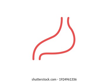 Internal organs of the human on white background, Stomach anatomy, Stomach icon, Organs symbol, Cartoon vector illustration.