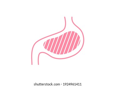 Internal organs of the human on white background, Stomach anatomy, Stomach icon, Organs symbol, Cartoon vector illustration.