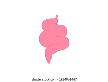 Internal organs of the human on white background, Small and large intestine anatomy, Small and large intestine icon, Organs symbol, Cartoon vector illustration.