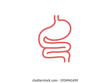 Órganos internos del ser humano sobre fondo blanco, anatomía estomacal e intestinal, Icono de Estómago, Símbolo de Órganos, Ilustración vectorial de dibujos animados.