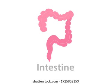 Innere Organe des Menschen auf weißem Hintergrund, Anatomie des Dünndarms, Ikone des Dünndarms, Organsymbol, Vektorgrafik Cartoon.