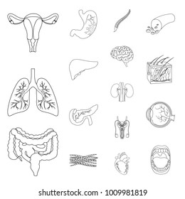 Internal organs of a human outline icons in set collection for design. Anatomy and medicine vector symbol stock web illustration.