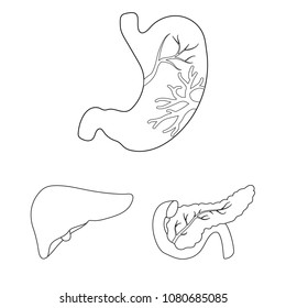 Internal organs of a human outline icons in set collection for design. Anatomy and medicine vector symbol stock web illustration.