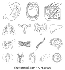 Internal organs of a human outline icons in set collection for design. Anatomy and medicine vector symbol stock web illustration.