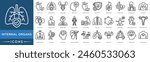 Internal Organs icon. Organ, Respiratory Health, Urinary Health, Inner Vitality, Organ Wellness, Immune Health, Digestive System, Digestive Health, Respiratory System, Body Vitality