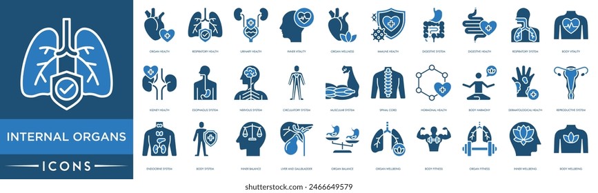 Internal Organs icon. Organ, Respiratory Health, Urinary Health, Inner Vitality, Organ Wellness, Immune Health, Digestive System, Digestive Health, Respiratory System, Body Vitality