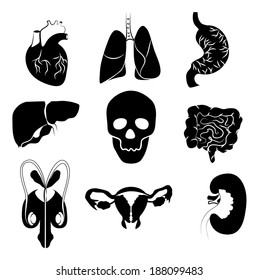 Internal organs icon set