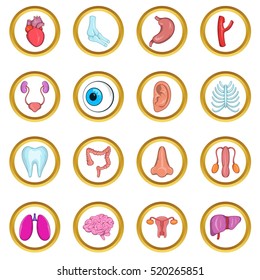 Internal organs icon set in cartoon style isolated on white background
