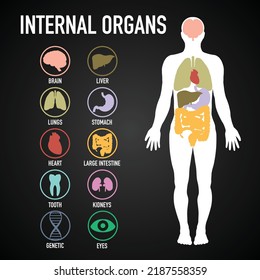 internal organs icon vector illustration.