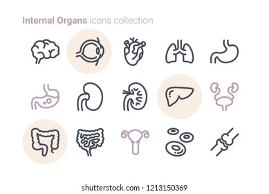 Internal Organs Icons Collection