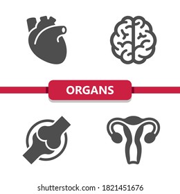 Internal Organs Icons. Professional, pixel perfect icons. EPS 10 format.