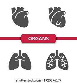 Internal Organs Icons. Professional, pixel perfect icons. EPS 10 format.