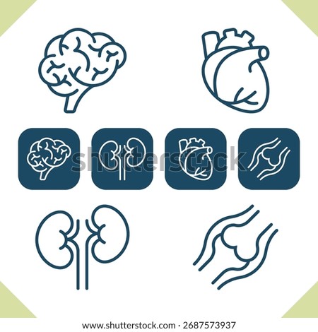 Internal Organs Icons. Professional, pixel perfect icons. EPS 10 format.