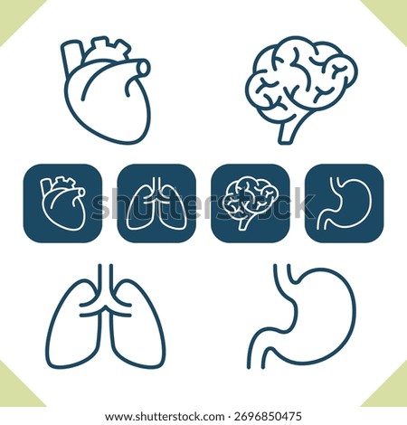 Internal Organs Icons. Professional, pixel perfect icons. EPS 10 format.