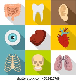 Internal organs icons set. Flat illustration of 9 internal organs vector icons for web