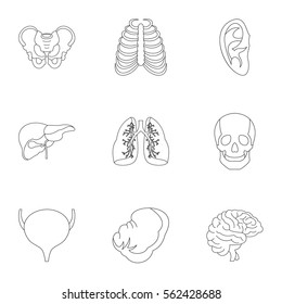 Internal organs icons set. Outline illustration of 9 internal organs vector icons for web