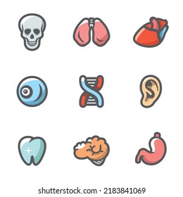 Internal organs Icons Set. Vector Illustration.