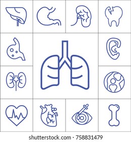 internal organs isolated flat linear vector icon set