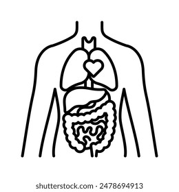 Internal organs, line icon. Human body silhouette including lungs, heart, liver, stomach, intensive. Anatomy, health, medicine, human structure. Minimal linear illustration, editable strokes.