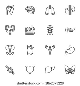 Internal organs line icons set, outline vector symbol collection, linear style pictogram pack. Signs, logo illustration. Set includes icons as human heart organ, kidney, brain, liver, spine backbone