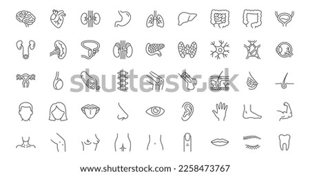 Internal organs line icons set. Brain heart, kidneys, stomach lungs, liver, intestines, adrenal gland, neuron, spleen, knee joint vector illustration. Outline signs about anatomy. Editable Stroke