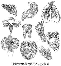 The internal organs of man. Hand drawn ovary, lungs, heart and liver, stomach and heart, palms and feet, brain, kidneys, tooth. Anti-stress coloring of the human body. Medical poster sketch