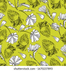 The internal organs of man. Hand drawn liner heart, wildflowers, daisies. Antistress coloring of the human body on yellow. Sketch medical, healthy human heart, heart in plants and flowers