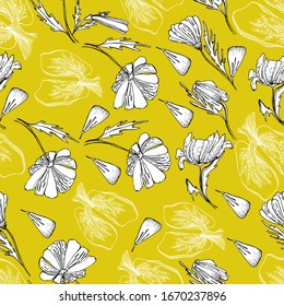 The internal organs of man. Hand drawn organ lungs, wildflowers, daisies. Antistress coloring of the human body on white. Sketch medical, healthy organ human lungs, lungs in plants and flowers