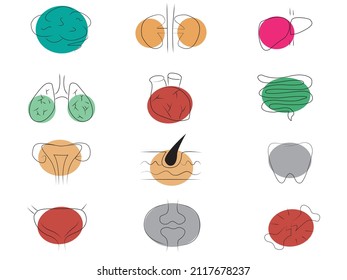 internal organs medicine set collection hand drawn on white isolated background