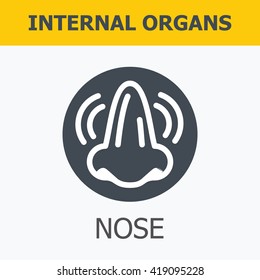 Internal organs - nose. Family and a healthy lifestyle. Medical infographic icons, human organs, body anatomy. Vector icons of internal human organs Flat design. 