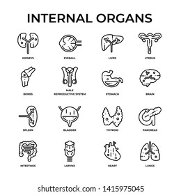Internal Organs Outline icon. Related Medical icons with Human Organs. Vector Linear Icons.