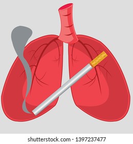 Internal organs of the person light and cigarette