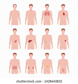 human heart location images stock photos vectors the heart place