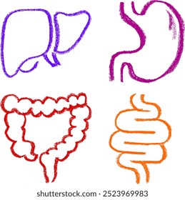 Órgãos internos ícones relacionados ícone giz de giz de giz vetor desenho