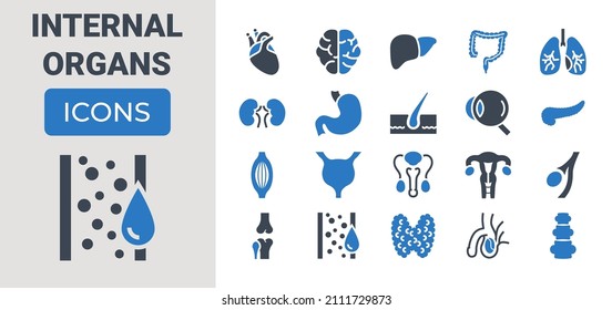 Internal Organs Related Vector Glyph Icons Set. Contains such Icons as Reproductive System, Brain, Heart, Blood Vessel, Lungs, Liver, Eye, Pancreas, Urinary, Kidney, Stomach, Spine, Uterus and more