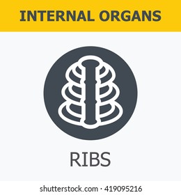 Internal organs - ribs. Family and a healthy lifestyle. Medical infographic icons, human organs, body anatomy. Vector icons of internal human organs Flat design. Internal organs icons.