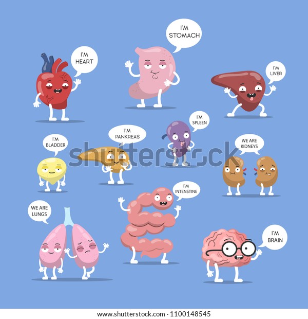 Internal organs set. Funny cartoon characters with names.