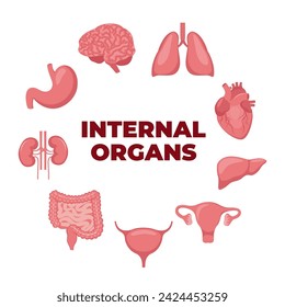 Internal organs set. Heart, brain, lungs, liver, stomach, intestines, bladder, kidneys, uterus and ovaries. Internal organs. Design element for medicine, biology, education. Vector illustration