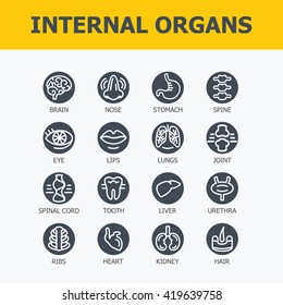 Internal organs set. Medical infographic icons, human organs, body anatomy. Vector icons of internal human organs Flat design. Internal organs icons. Internal organs icons art.