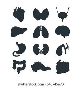 Internal Organs Silhouette Vector Illustration.