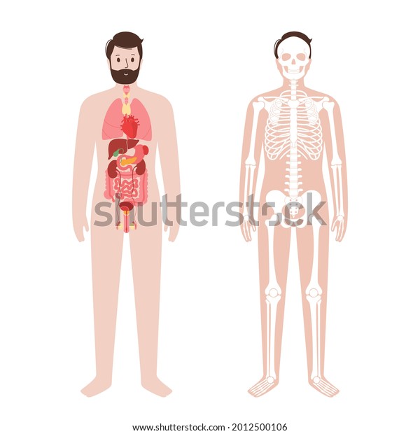 Organ System Printables