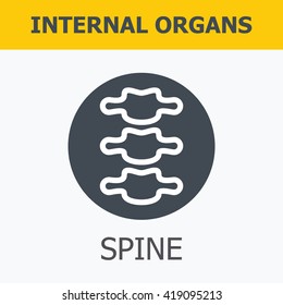 Internal organs - spine. Family and a healthy lifestyle. Medical infographic icons, human organs, body anatomy. Vector icons of internal human organs Flat design. Internal organs icons.