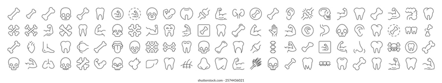 Internal Organs, Teeth and Bones Collection of Thin Icons. Editable Stroke. Suitable for Web Sites, Books, Cards, Apps