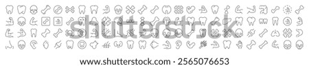 Internal Organs, Teeth and Bones Outline Simple Linear Image Collection. Editable Stroke. Suitable for Web Sites, Books, Cards, Apps 
