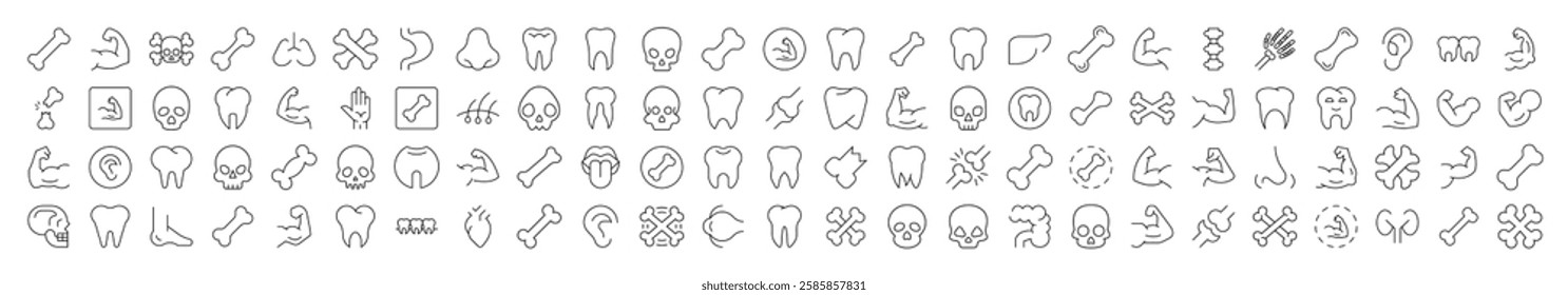Internal Organs, Teeth and Bones Related Icon Set. Editable Stroke. Suitable for Web Sites, Books, Cards, Apps