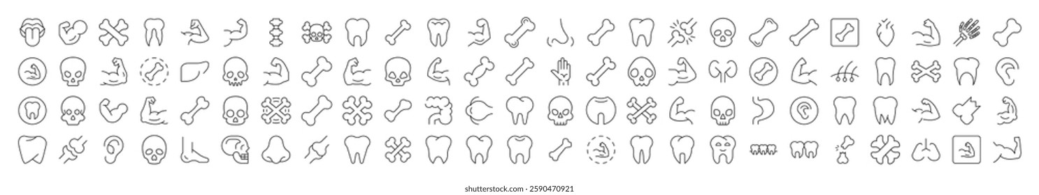 Internal Organs, Teeth and Bones Related Line Icons for Web Sites, Books, Cards, Apps. Editable Stroke. Suitable for Web Sites, Books, Cards, Apps