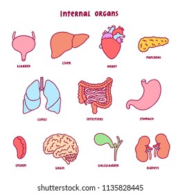 Internal organs, vector cartoon collection